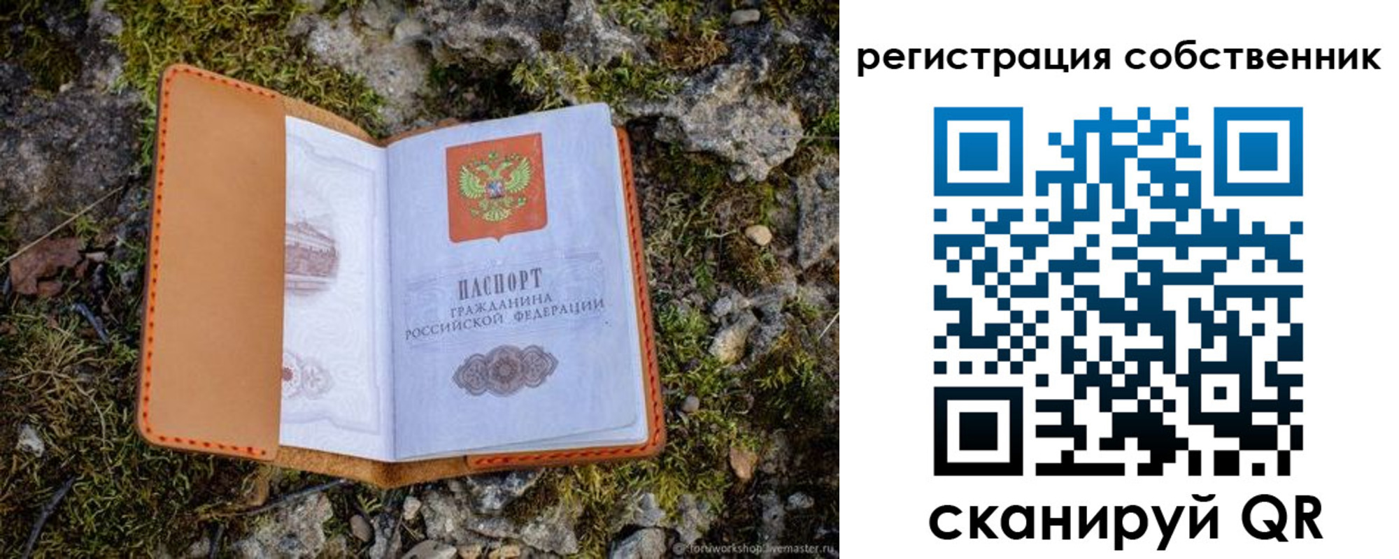 прописка поиск в Сураже
